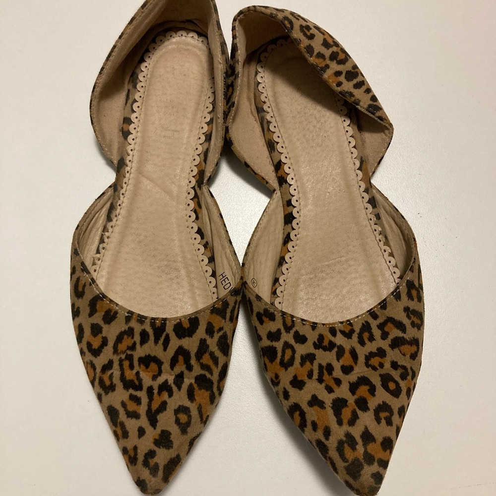 Cheetah Flats